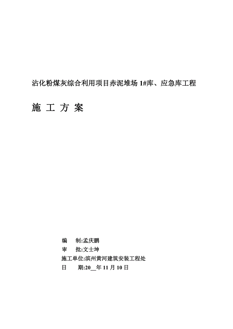 坝体加固施工方案模板_第1页