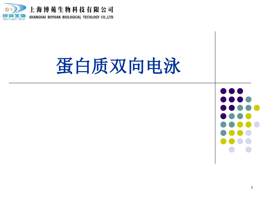 蛋白质双向电泳2_第1页