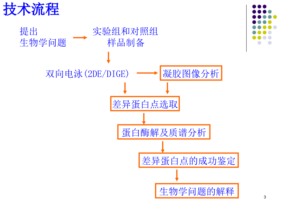 蛋白质双向电泳2_第3页