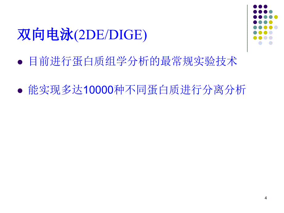 蛋白质双向电泳2_第4页