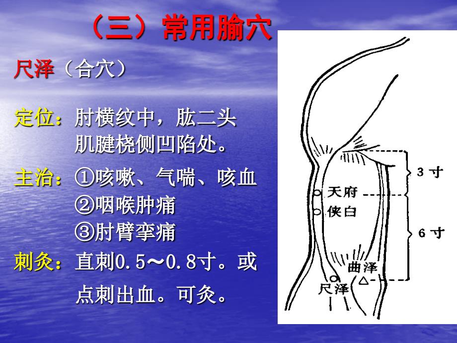 经脉和常用穴课件_第4页