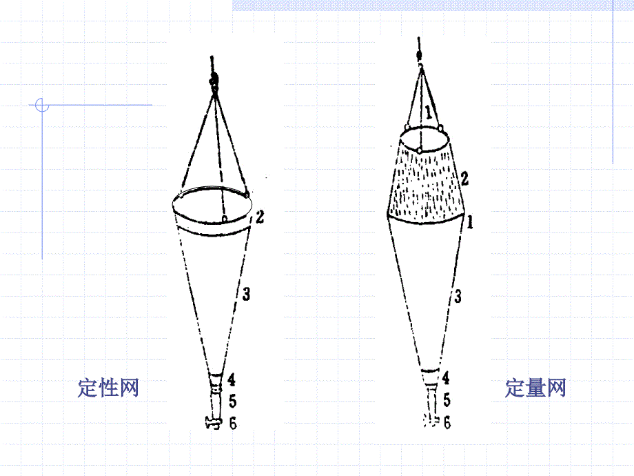 浮游生物的测定常识_第3页