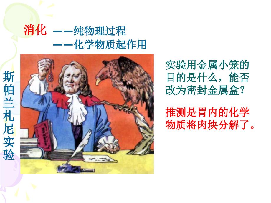 降低化学反应活化能的酶一14_第2页