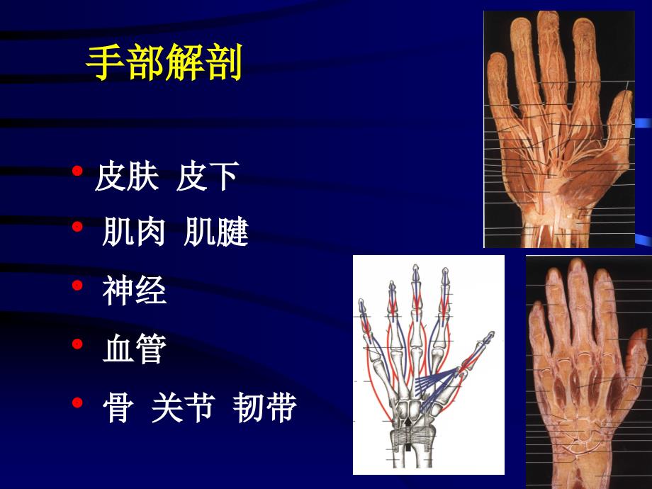 手外伤教学幻灯ppt课件_第2页