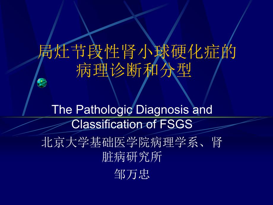 FSGS的病理诊断与分型.ppt_第1页