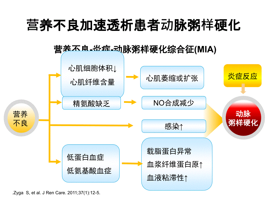 透析患者的营养治疗_第4页