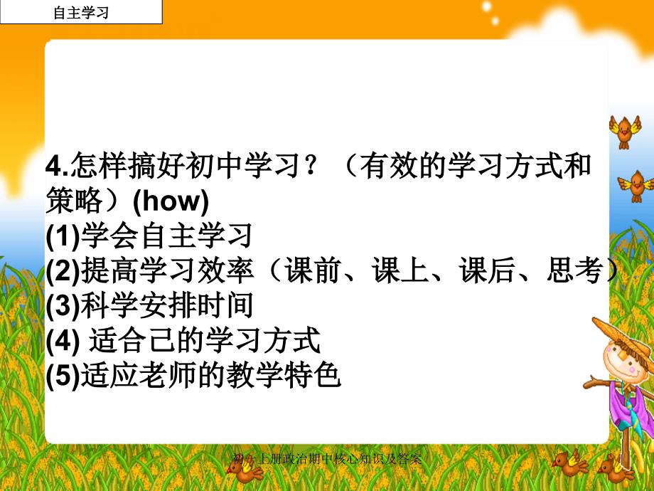 初一上册政治期中核心知识及答案课件_第5页