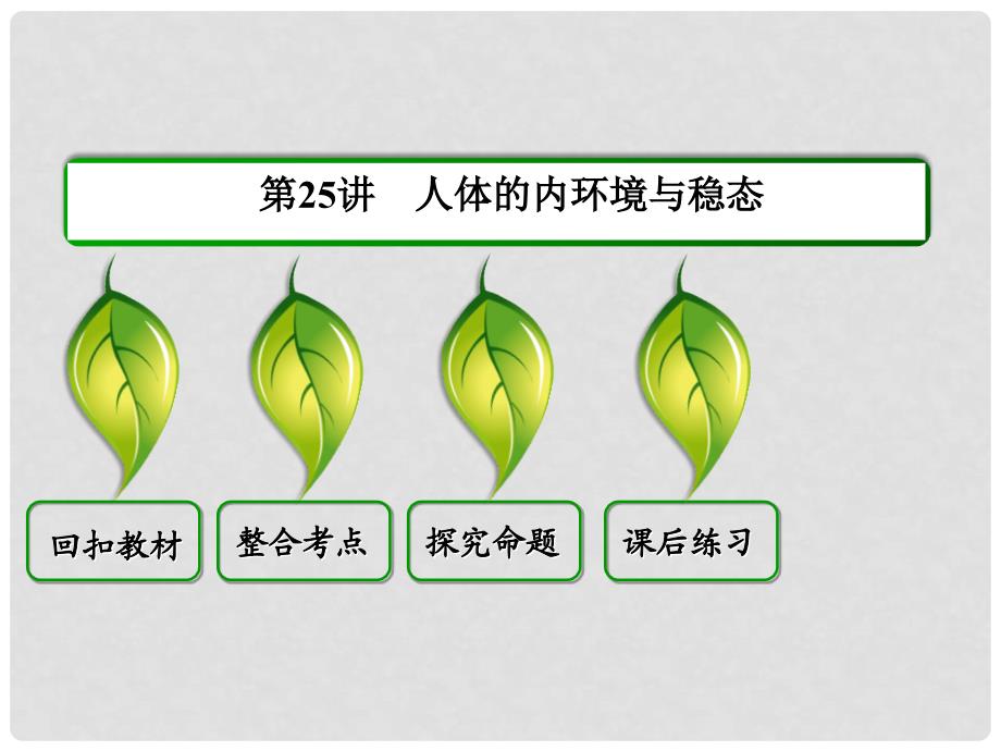 高考生物一轮复习 第25讲 人体的内环境与稳态课件_第4页