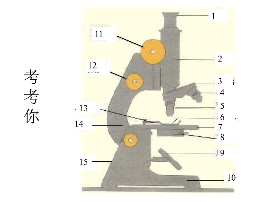 梅河口市外国语学校万福琴_第3页