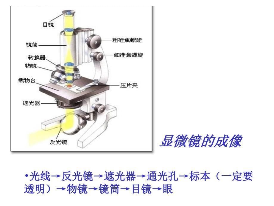 梅河口市外国语学校万福琴_第5页