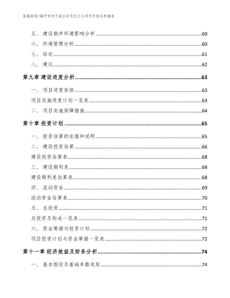 海宁市关于成立石化化工公司可行性分析报告_第5页