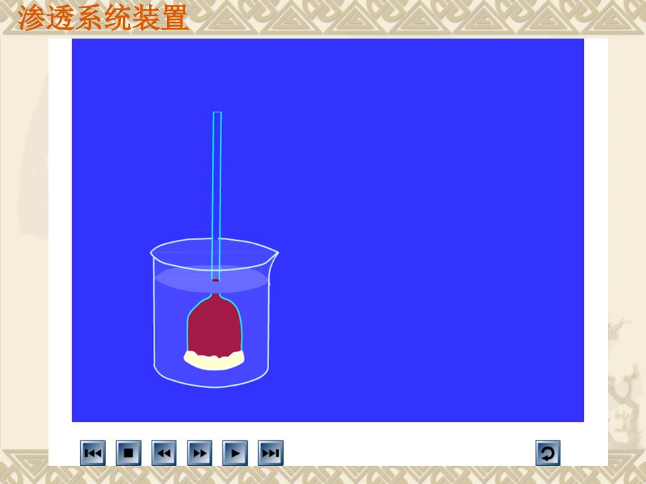 人教版必修1第四章第一节物质跨膜运输的实例共24张PPT_第2页