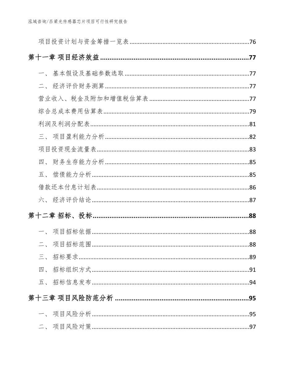 吕梁光传感器芯片项目可行性研究报告模板_第5页