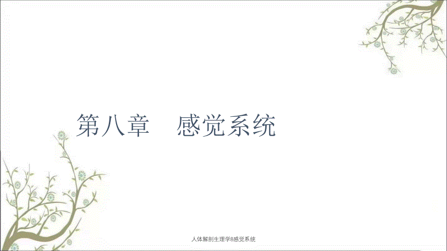 人体解剖生理学8感觉系统_第1页