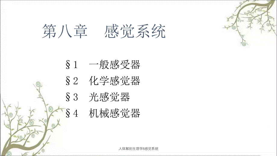 人体解剖生理学8感觉系统_第4页