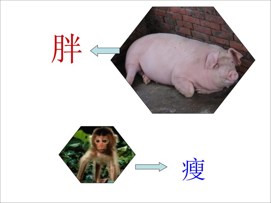 人教版语文一下语文园地五ppt课件1_第3页