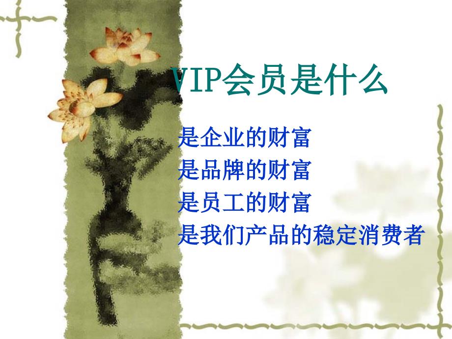 店员培训系列讲堂第八讲VIP会员服务_第2页