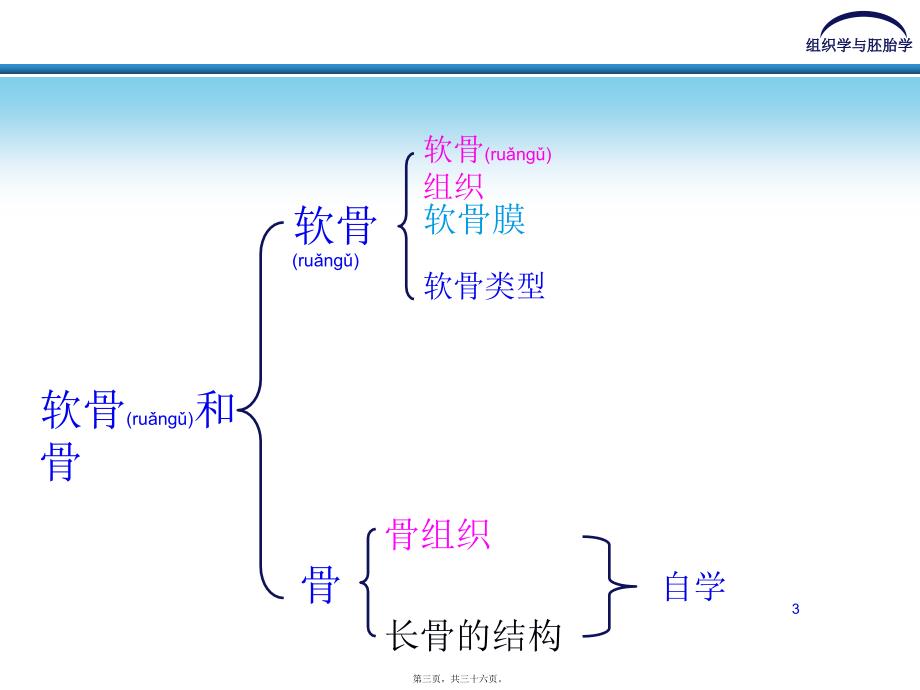 医学专题—第五章-软骨和骨6077_第3页