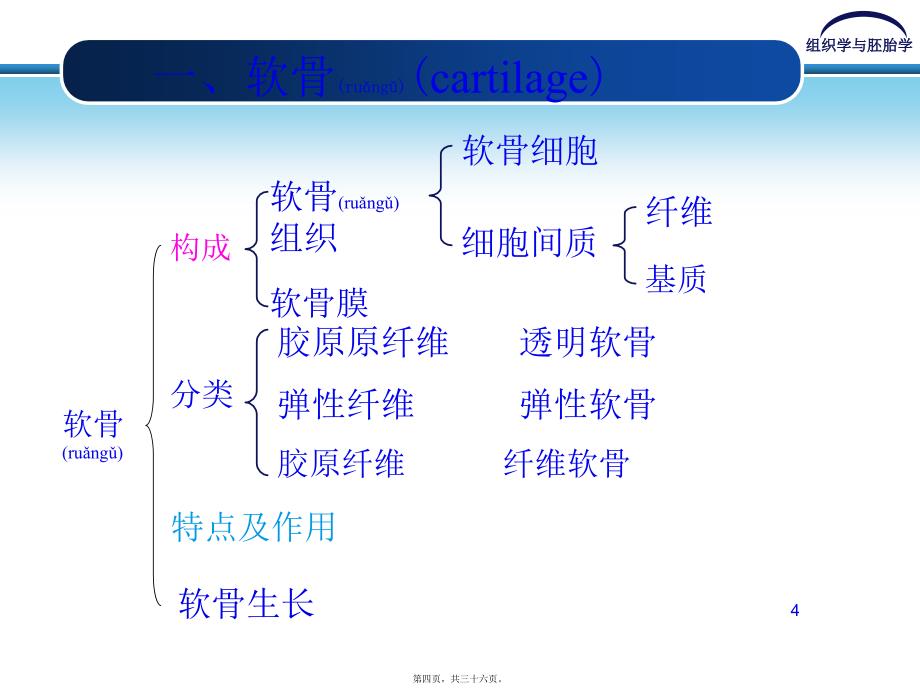 医学专题—第五章-软骨和骨6077_第4页