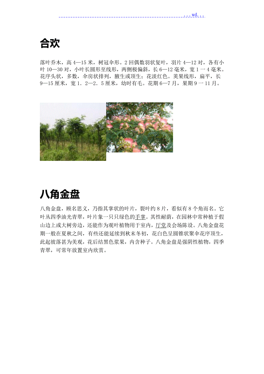 上海30种常见树木和植物_第2页