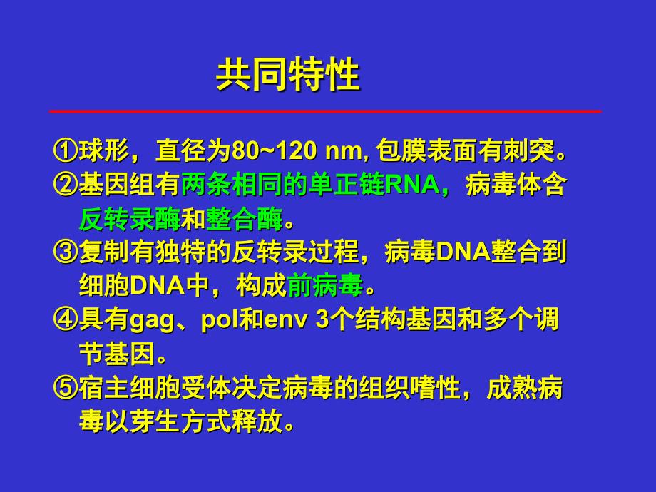 HIV狂犬V病毒解读_第4页