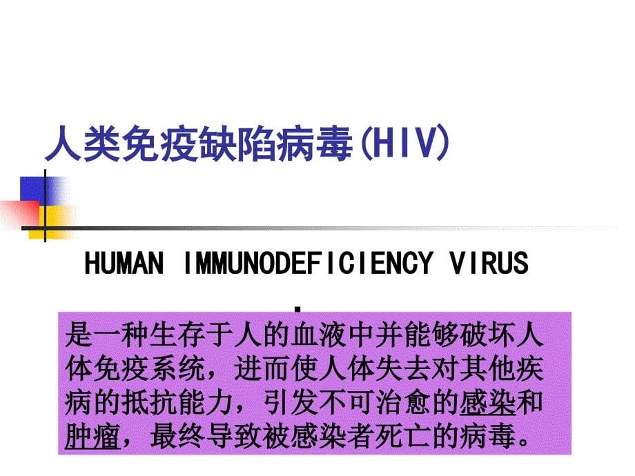 HIV狂犬V病毒解读_第5页