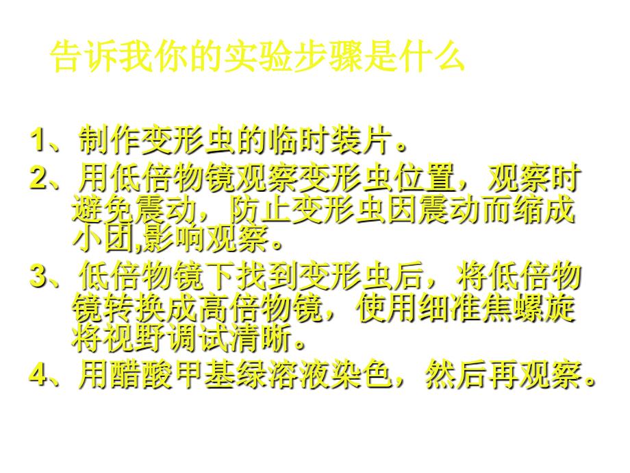 七年级生物细胞是生命活动的基本单位1_第4页