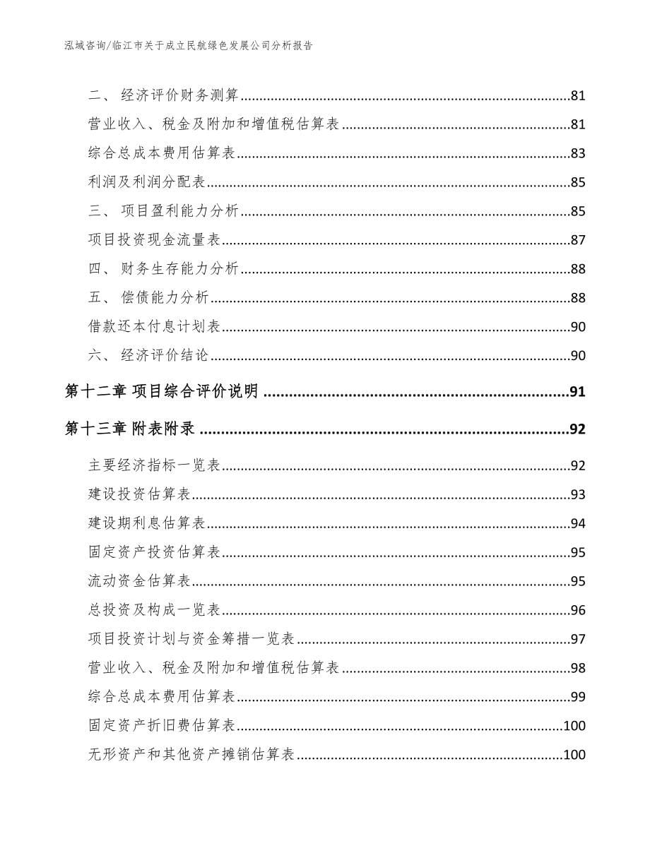 临江市关于成立民航绿色发展公司分析报告范文模板_第5页