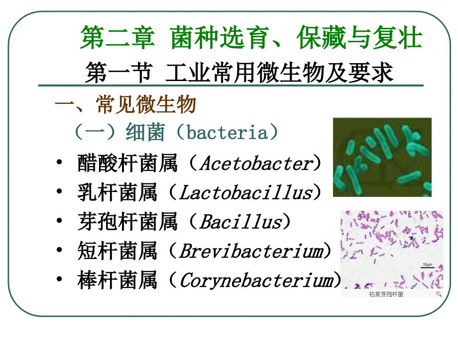 二章菌种选育保藏与复壮_第2页