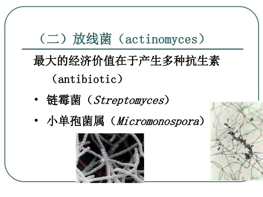 二章菌种选育保藏与复壮_第3页