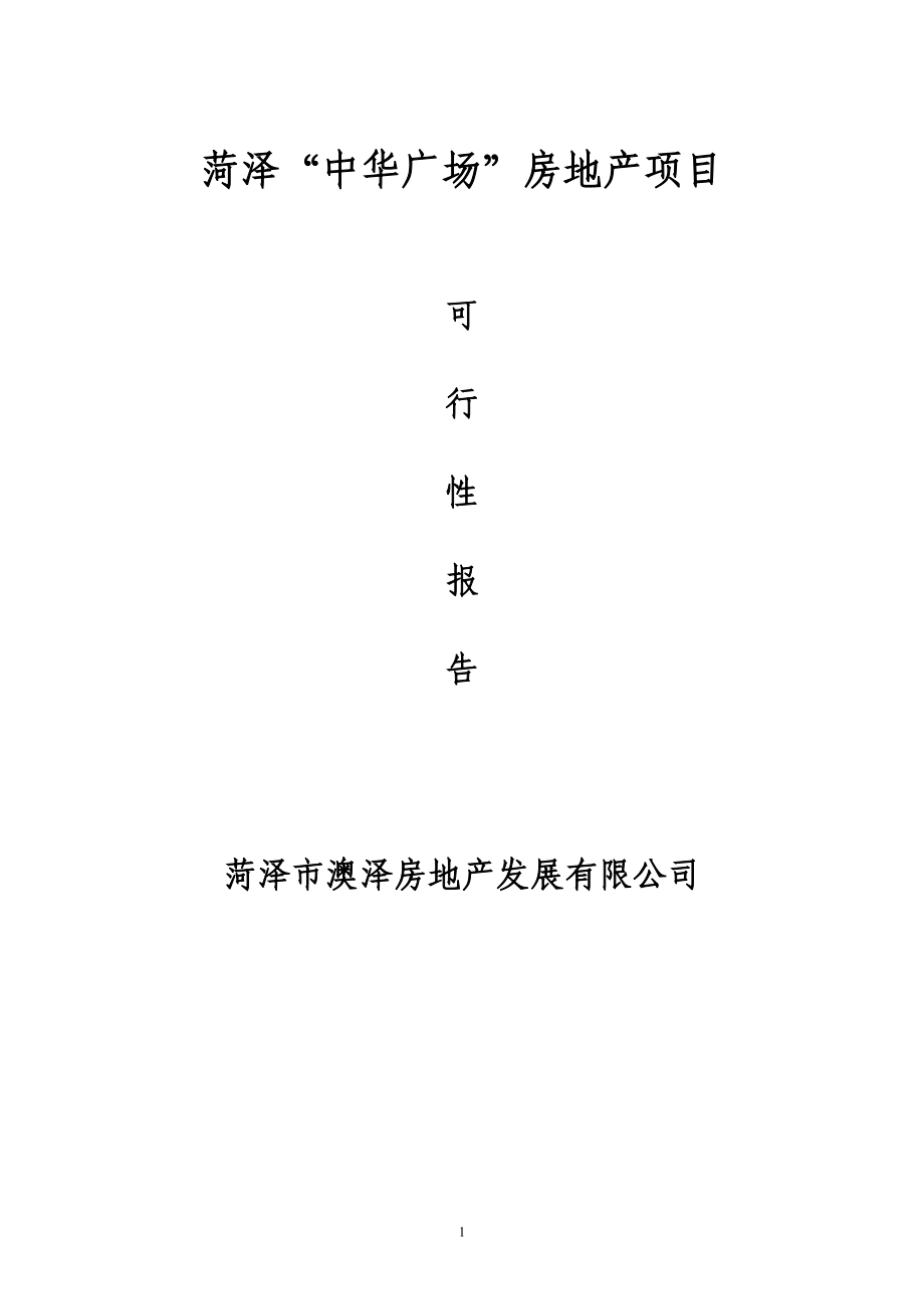 中华广场房地产项目可行性研究报告_第1页