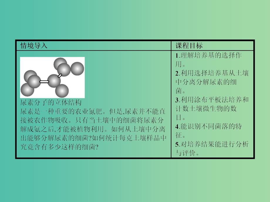 高中生物 1.2 分离特定的微生物并测定其数量课件 苏教版选修1.ppt_第2页