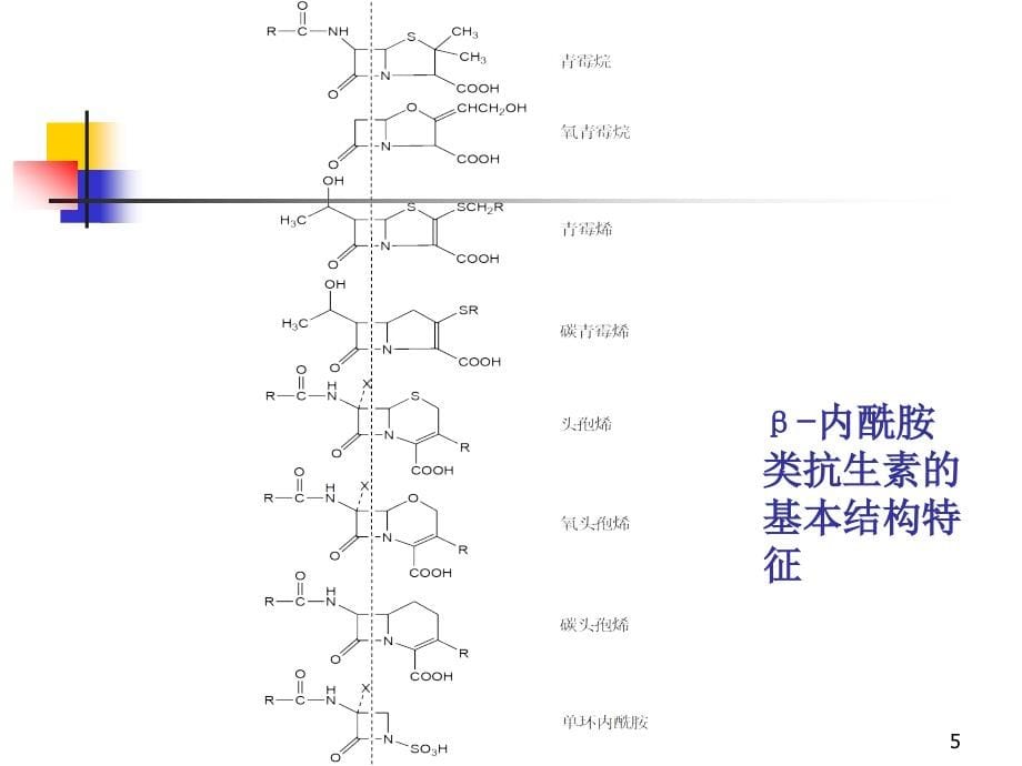 抗菌药物作用机制PPT参考幻灯片_第5页