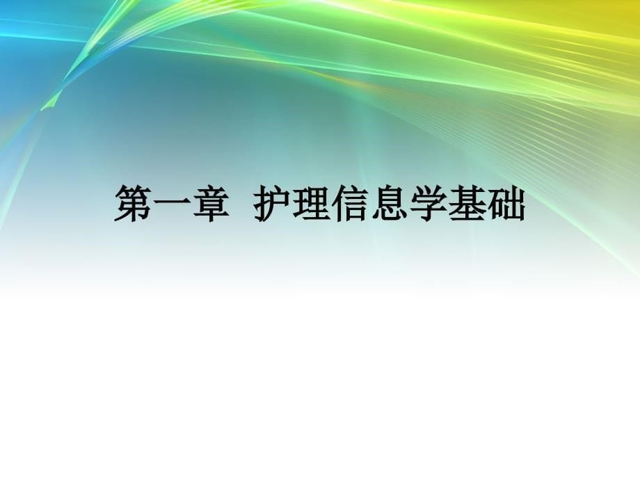 护理信息学1ppt课件_第5页