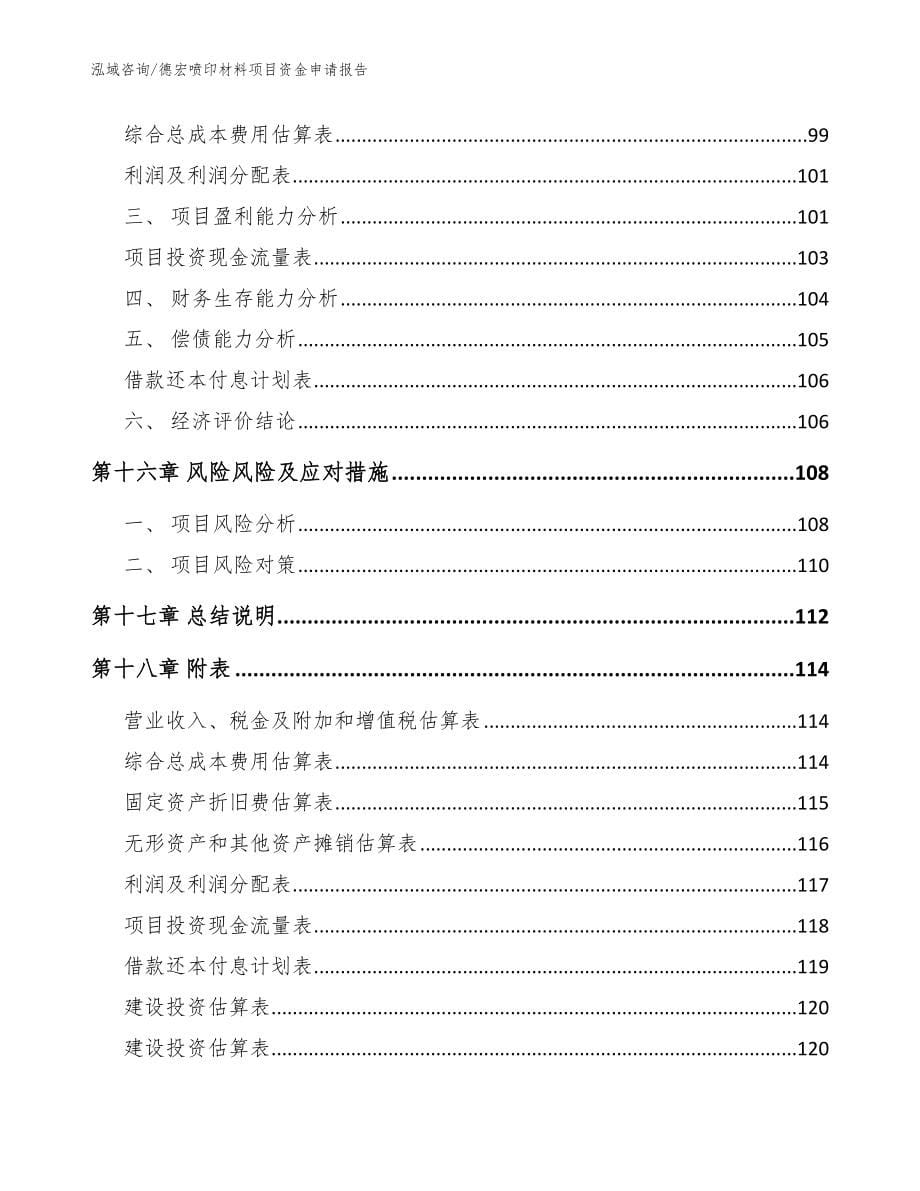 德宏喷印材料项目资金申请报告（模板）_第5页