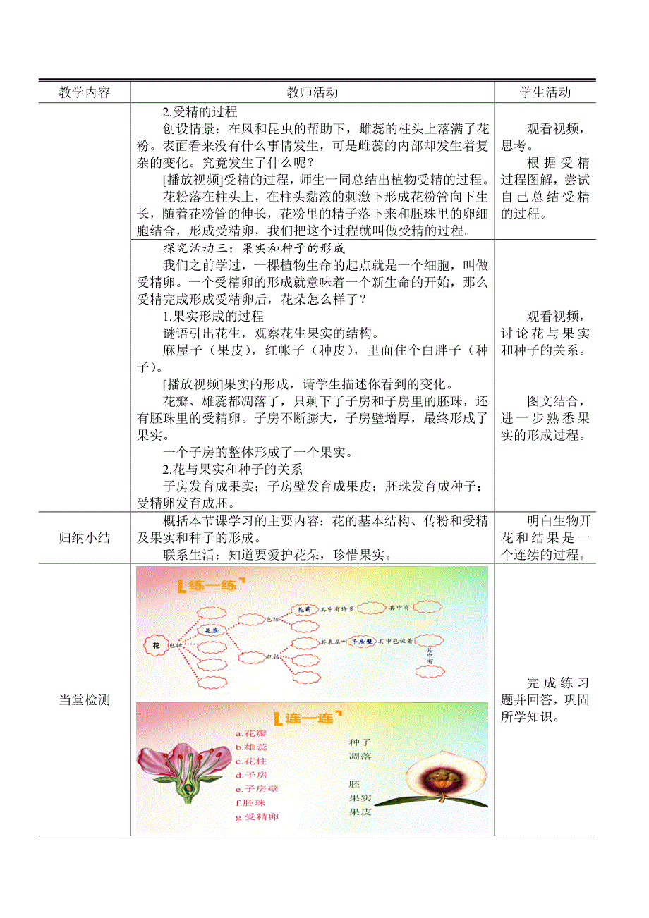 第三节　 开花和结果31_第4页