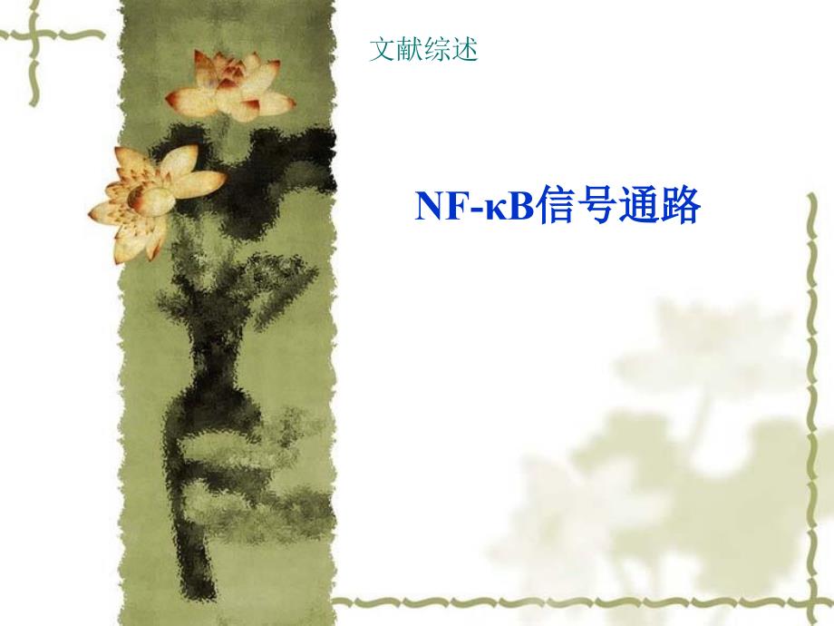 NFKB信号通路综述_第1页