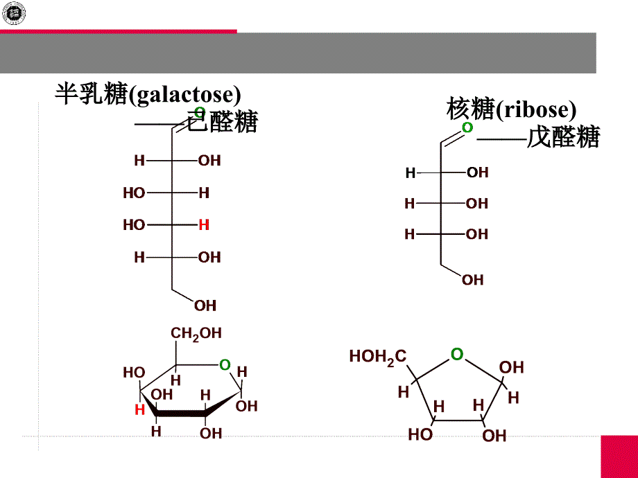 上课3第四部分碳水化合物_第4页