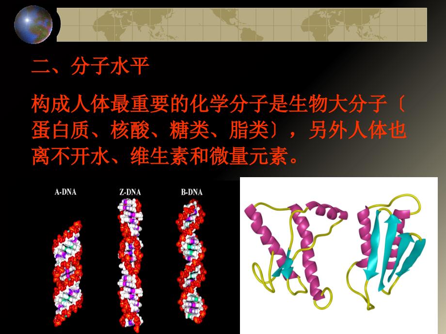 人体构成及食物消化吸收_第4页