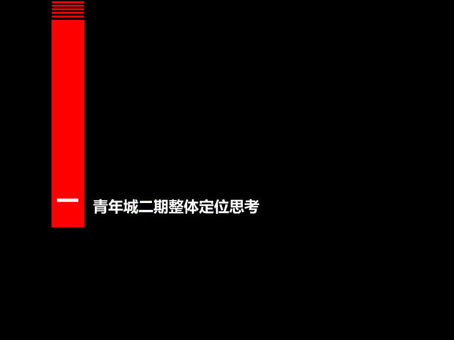 青年城整体定位思考及二期营销方案_第2页