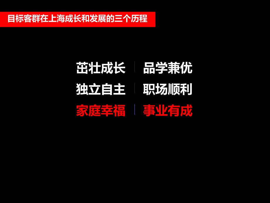 青年城整体定位思考及二期营销方案_第4页