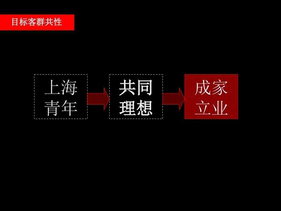 青年城整体定位思考及二期营销方案_第5页