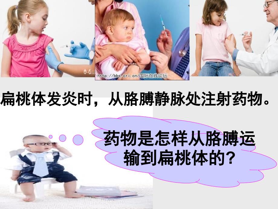 物质运输的途径新授.ppt_第1页