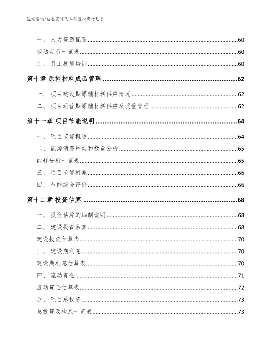 应县高速飞车项目投资计划书【范文参考】_第4页