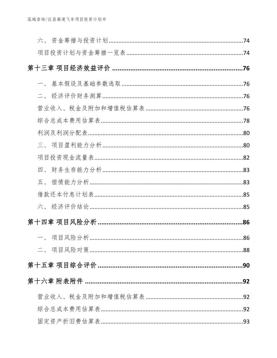 应县高速飞车项目投资计划书【范文参考】_第5页