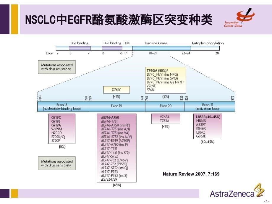 非小细胞肺癌基因检测_第5页