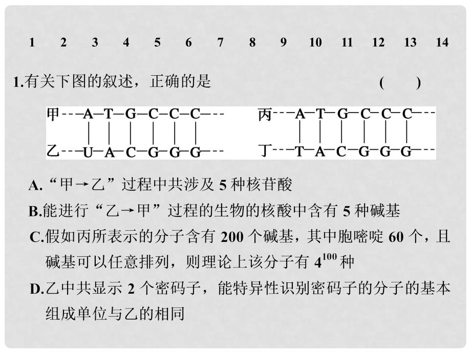 高考生物一轮复习 重难聚焦练（六）课件 苏教版_第3页