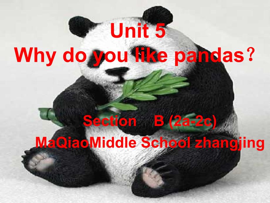 5课时unit_5_Why_do_you_like_pandas_section_B好-副本2_第1页