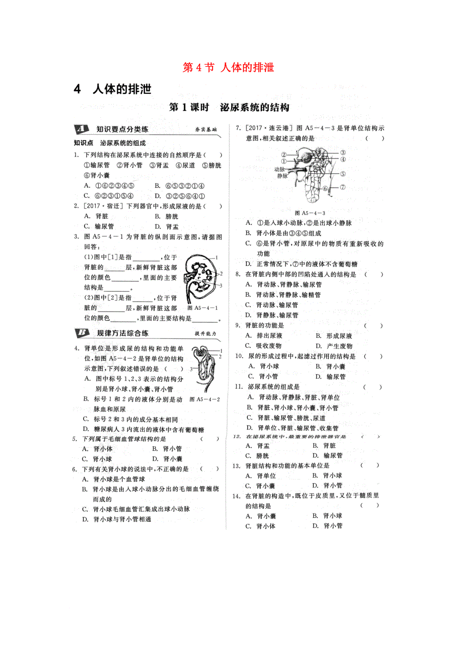 八年级科学上册 第五章 人体的物质和能量的转化 第4节 人体的排泄同步练习扫描版无答案新版华东师大版_第1页