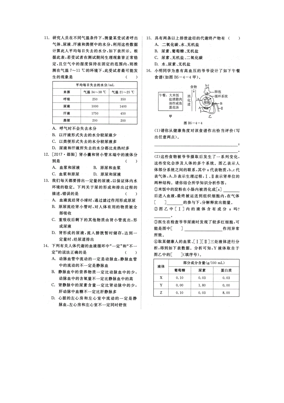 八年级科学上册 第五章 人体的物质和能量的转化 第4节 人体的排泄同步练习扫描版无答案新版华东师大版_第4页